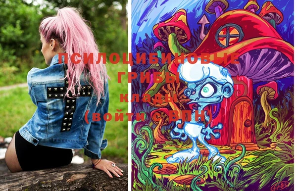 дмт Горнозаводск